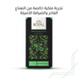 ROYAL MINT BLACK TEA 1